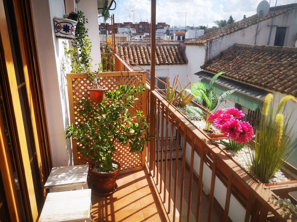 Piso compartido estudiantes Córdoba *Vizconde 3* 5 terraza piso compartido cordoba vizconde