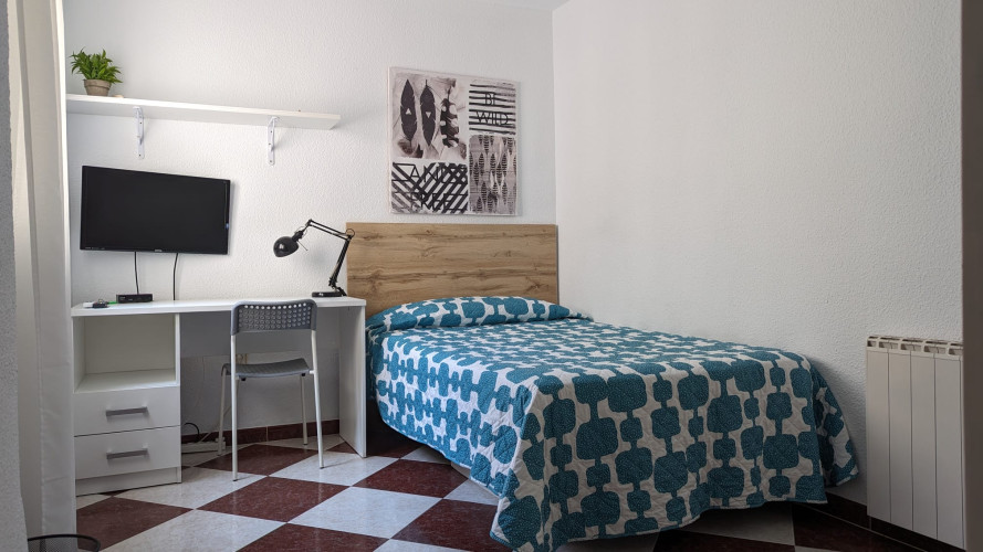 student room for rent in cordoba, erasmus accommodation, vizconde01